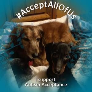 Meet your Posher, Marsha